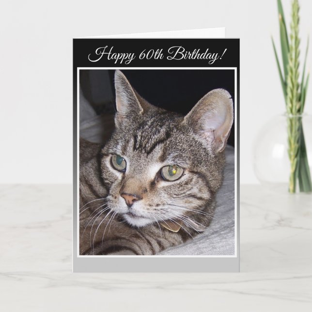 Tabby Cat Personalisiert 60. Geburtstagskarte Karte (Vorderseite)