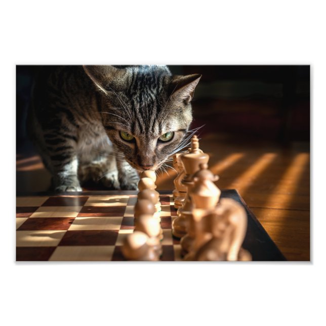 Tabby Cat Playing Schach Fotodruck (Vorne)