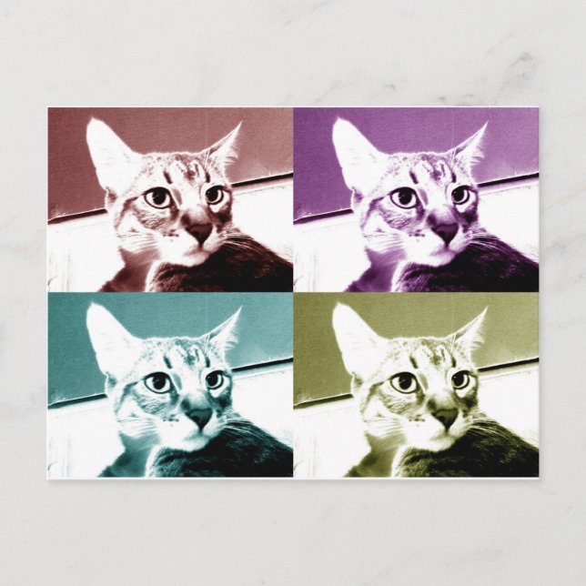 Tabby Cat - Pop Art Postkarte (Vorderseite)