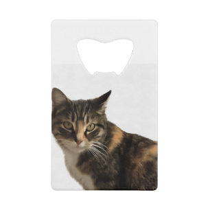 Tabby Cat Portrait Artistique Sur Arrière - plan B
