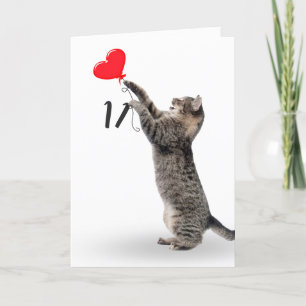 Tabby Cat pour carte 11e anniversaire