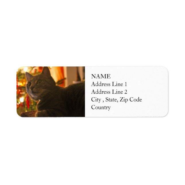 Tabby Cat Purr-fect Holiday Saison (Vorne)