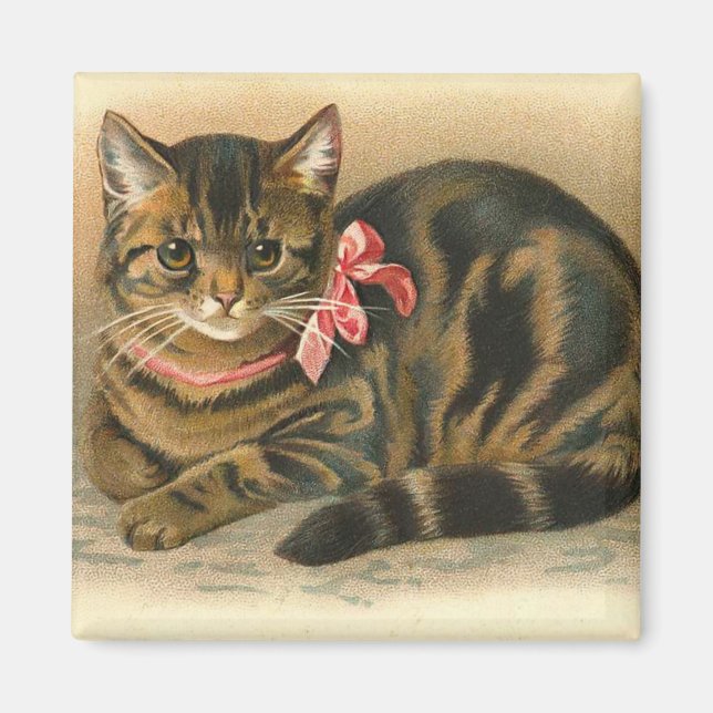 "Tabby Cat" Quadrat-Magnet Magnet (Vorne)