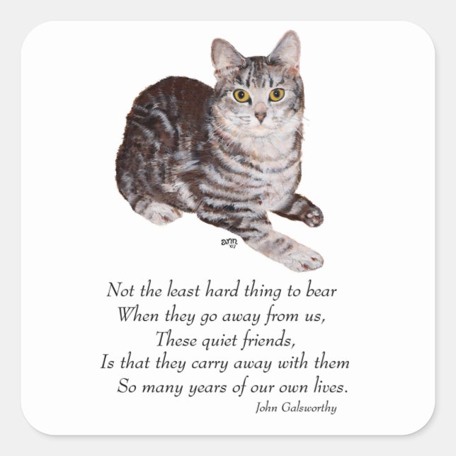Tabby Cat Rainbow Bridge Quadratischer Aufkleber (Vorderseite)