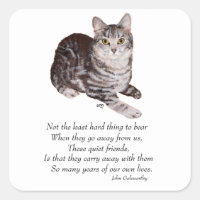Tabby Cat Rainbow Bridge