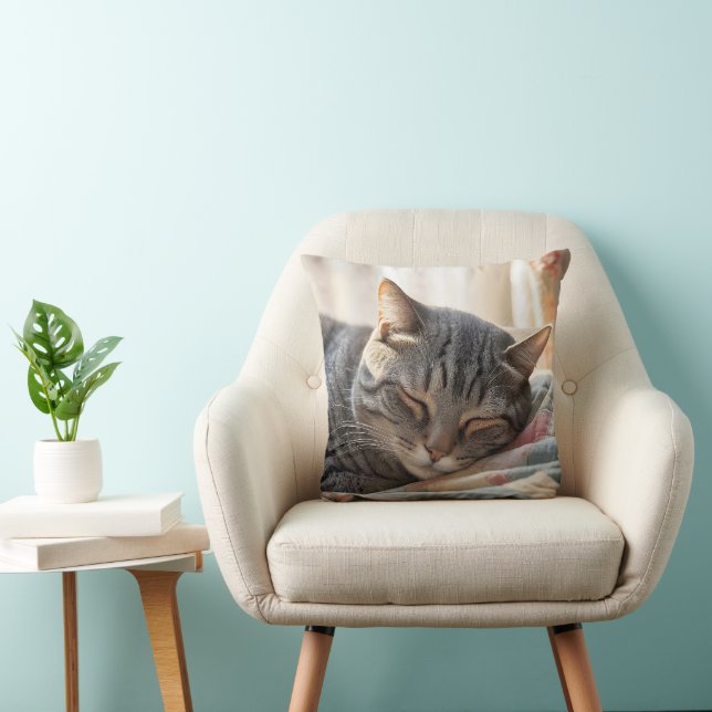 Tabby Cat Schlafen auf altes Häuschen Kissen (Stuhl )