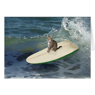 Tabby Cat Surf's Up!