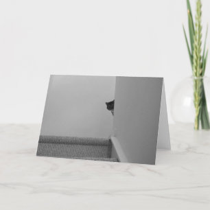 Tabby Cat - Watching, Karte