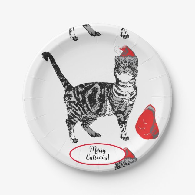Tabby Cat Weihnachten Katzen Rotes Weißes Weißes P Pappteller (Vorderseite)