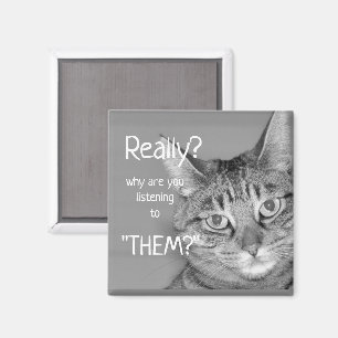 Tabby Cat, Wirklich? Warum hörst du ihnen zu? Magnet