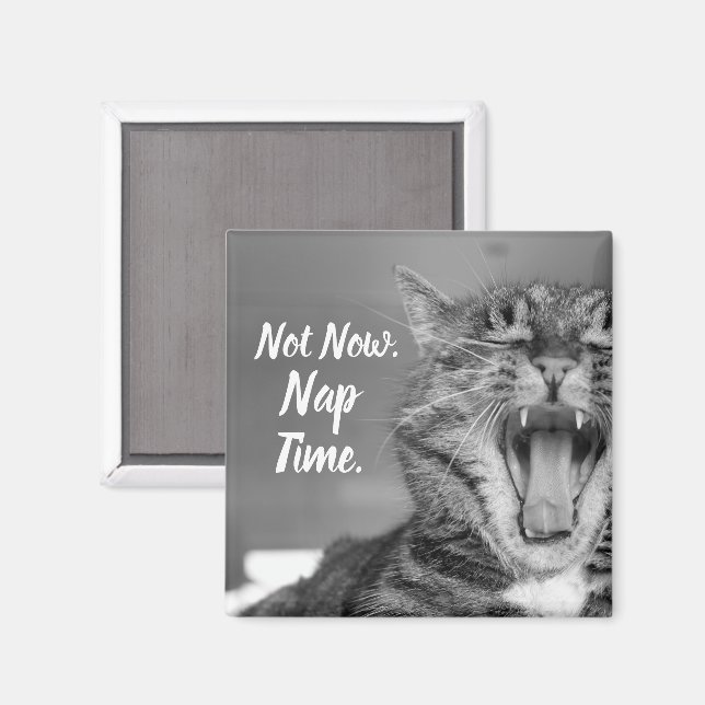 Tabby Cat Yawning, nicht jetzt Nickerchen Time Magnet (Vorderseite/Rückseite)