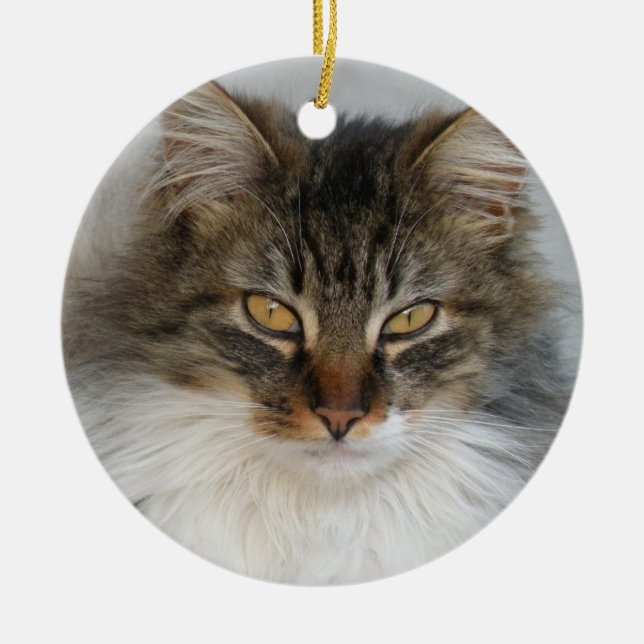 Tabby Cat-Zierwerk Keramik Ornament (Vorne)