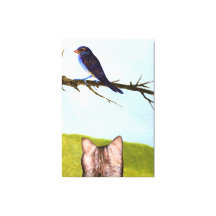 Tabby Cats Talk to Birds