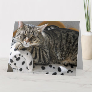TABBY CHAT DORMIR CARTE DE SALUT D'ANNIVERSAIRE