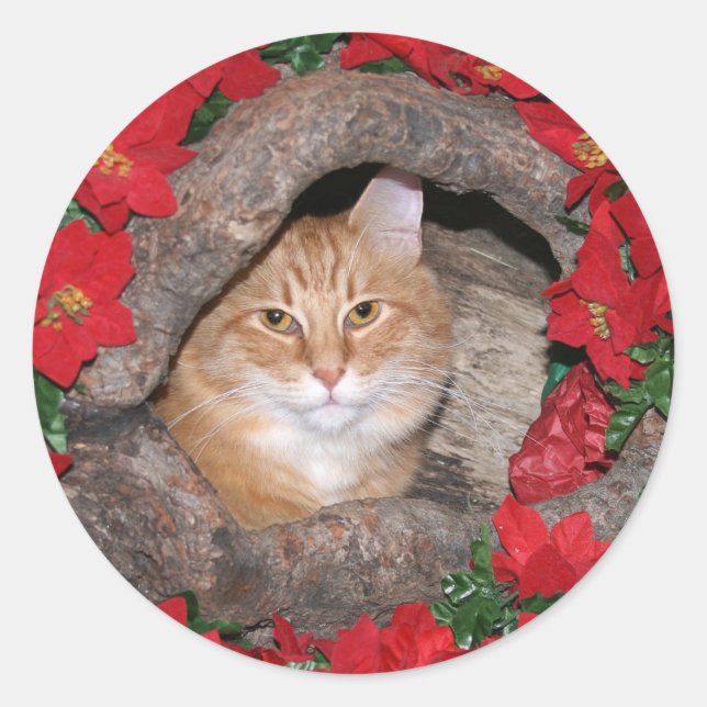 Tabby Christmas Runder Aufkleber (Vorderseite)