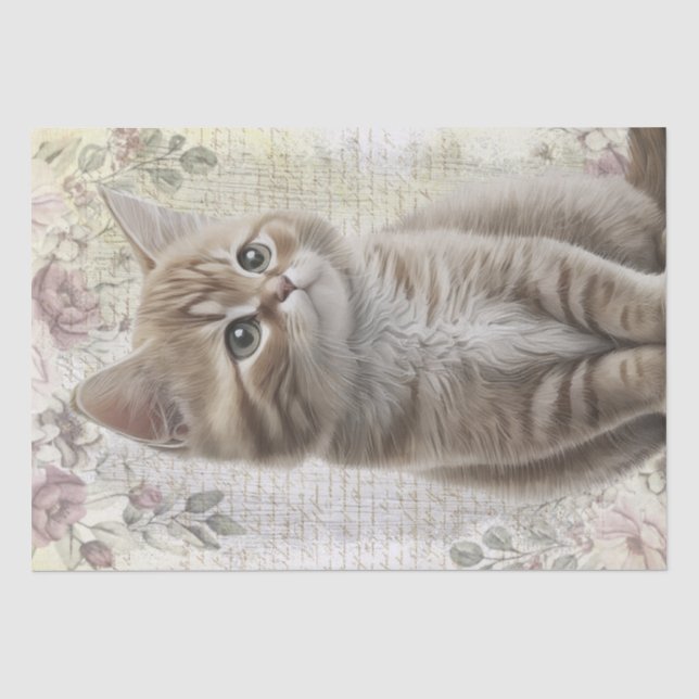 Tabby Floral Cat Kitten Seidenpapier (Vorderseite)