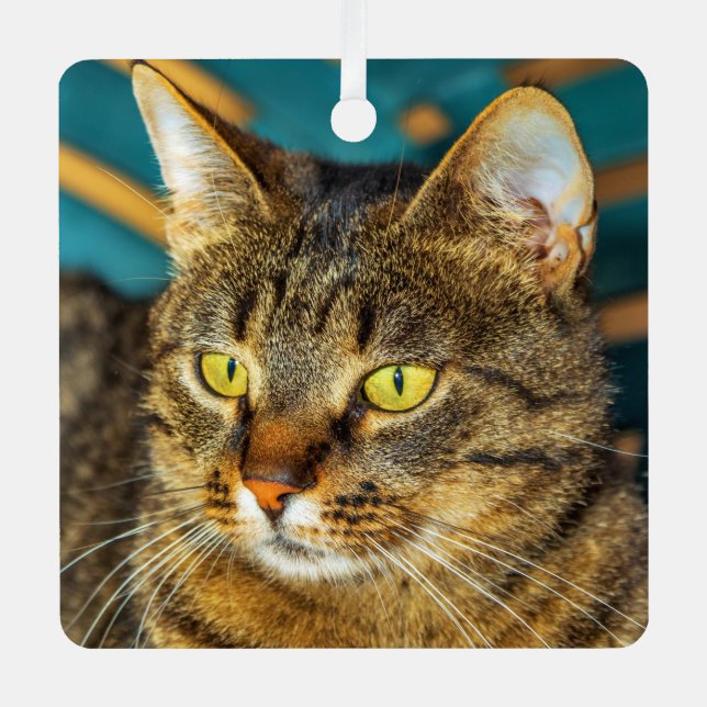 Tabby Gris Chat Métal Ornement (Recto)