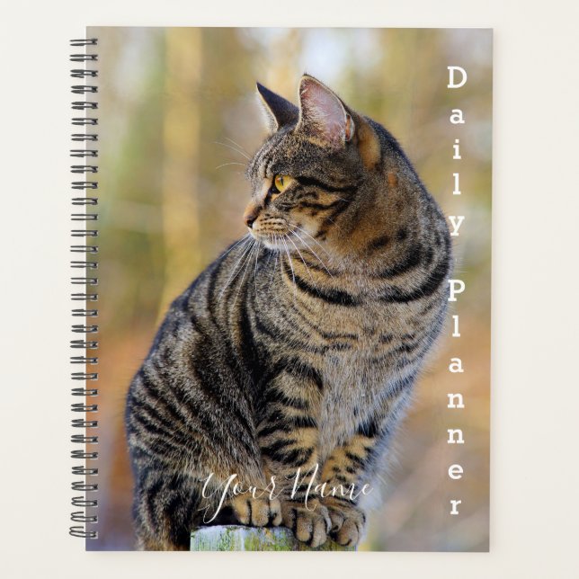 Tabby gris - Planificateur quotidien - HAMbWG (Devant)