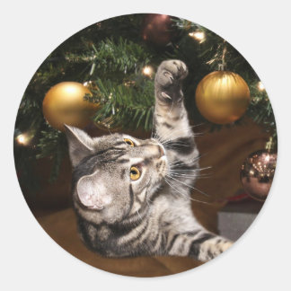 Tabby Katz und Weihnachtsbaum Runder Aufkleber