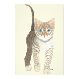 Tabby-Kätzchen 24x36 Poster