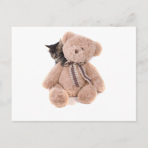 Tabby-Kätzchen, die mit einem Teddybär spielen Postkarte