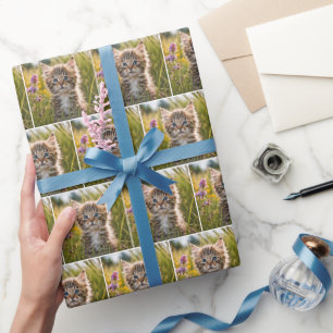Tabby Kätzchen im Sommer Wiese Geschenkpapier