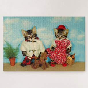 Tabby-Kätzchen Picknick