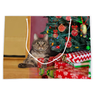 Tabby-Kätzchen Weihnachten Große Geschenktüte