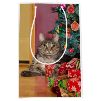 Tabby-Kätzchen Weihnachten Mittlere Geschenktüte