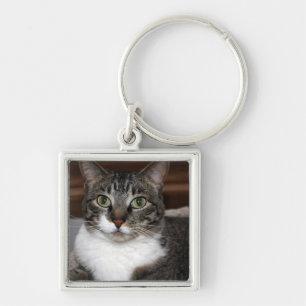 Tabby Katze Blicken Sie - Abgesetzt von Schlüsselanhänger