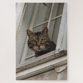 Tabby Katze, die dich vom Fenster aus beobachtet