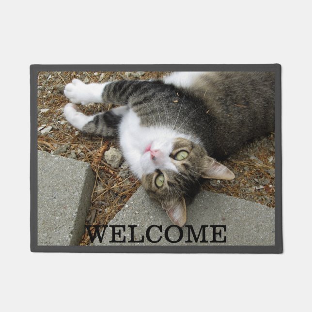 Tabby Katze, die Sie gefunden haben Fußmatte (Vorderseite)