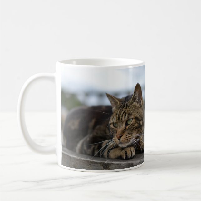 Tabby-Katze handlungsbereit Kaffeetasse (Links)