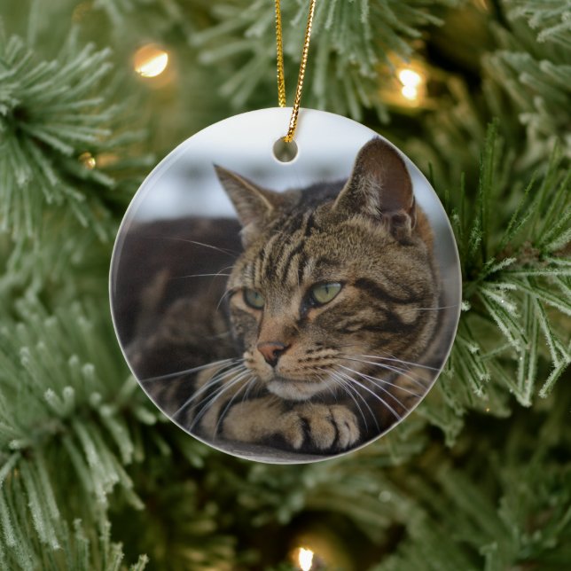 Tabby-Katze handlungsbereit Keramik Ornament (Baum)