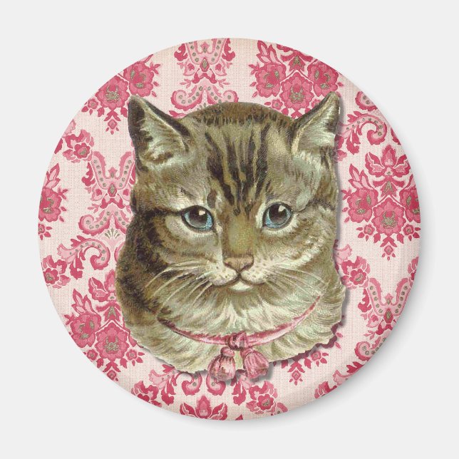 Tabby-Katze Magnet (Vorne)