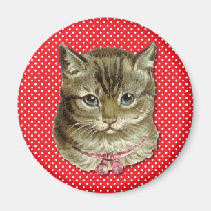 Tabby-Katze Magnet