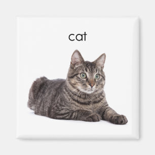 Tabby-Katze Magnet