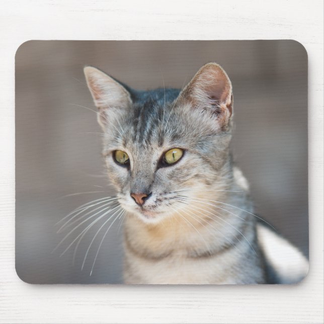 Tabby-Katze Mousepad (Vorne)