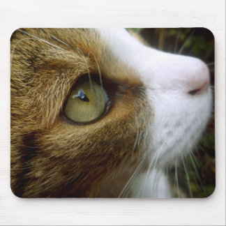 Tabby-Katze Mousepad