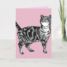 Tabby Katze Niedlich Katzen Rosa Kunst Zeichnend G Karte