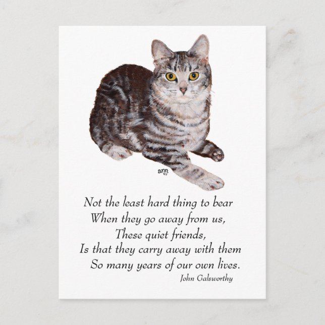 Tabby-Katze Regenbogenbrücke Postkarte (Vorderseite)