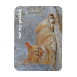 Tabby Katze Ruhe in Dubrovnik Nicht mein Problem! Magnet
