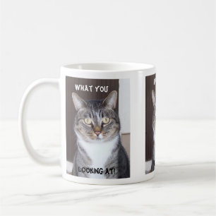 Tabby-Katze was Sie, Kaffee-Tasse schauend Kaffeetasse