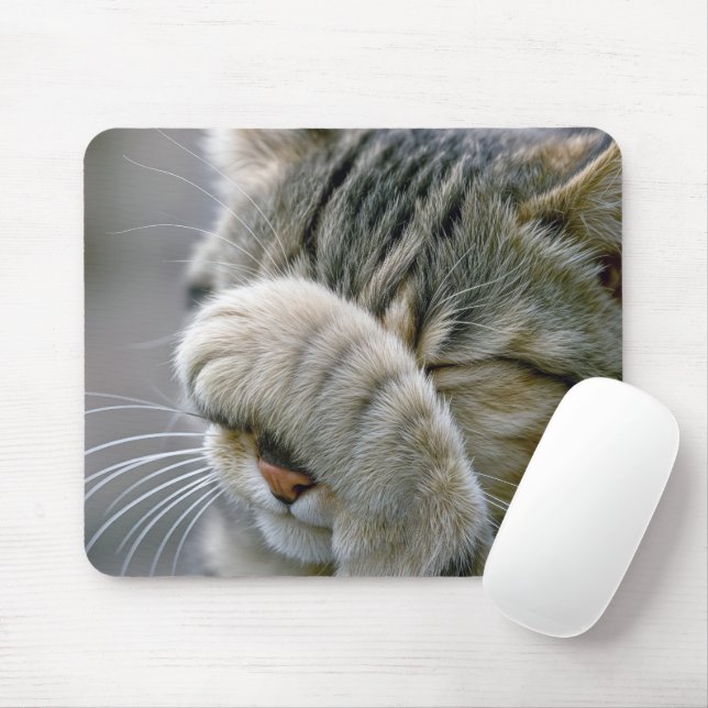 Tabby-Katzen-Humor Mousepad (Mit Mouse)