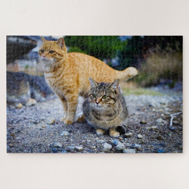 Tabby-Katzen-Puzzle  (Horizontal)