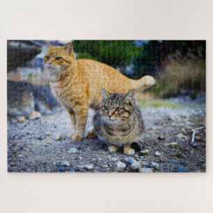 Tabby-Katzen-Puzzle