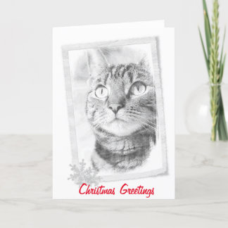 Tabby-Katzen-Skizze-Weihnachtskarte Feiertagskarte