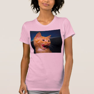 Tabby-Katzen-T - Shirt