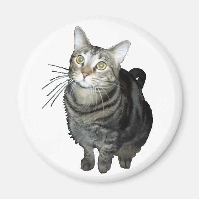 Tabby-Katzenmagnet Magnet (Vorne)