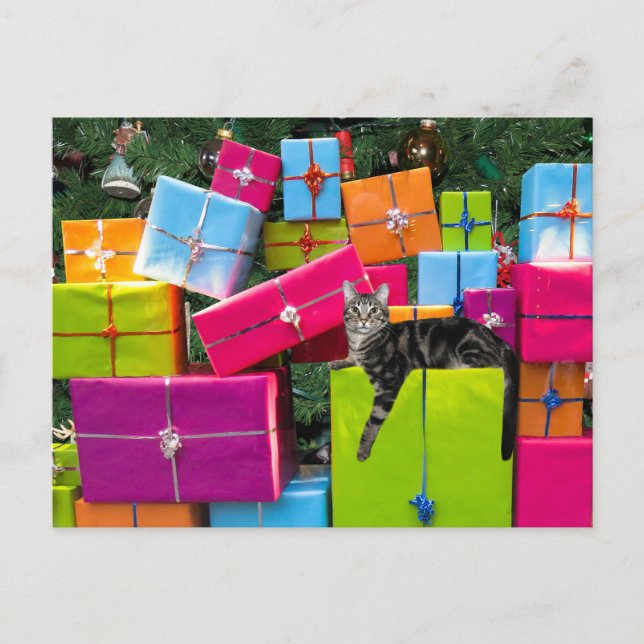 Tabby kitcat Christmas Postkarte (Vorderseite)